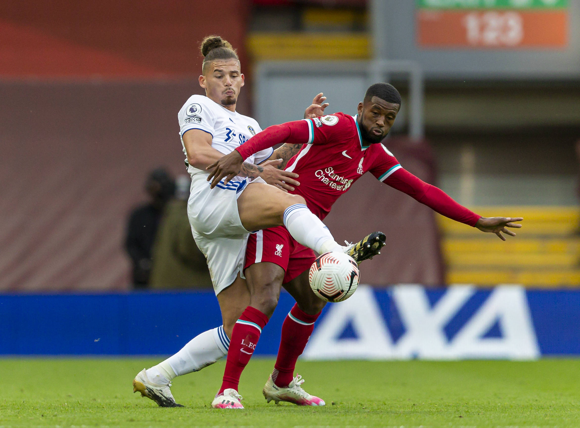 的惊喜与辉 的惊喜与辉